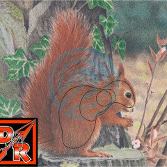 TGT-Face-Animal Squirrel Ea