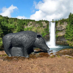 TB-3D Potbelly Pig - Cougar Target