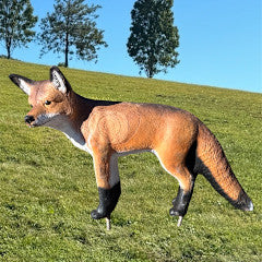 TB-3D Fox - Cougar Target
