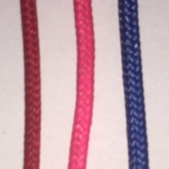 D-Loop First Strings 1Ft