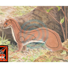 TGT-Face-Animal Ermine Ea