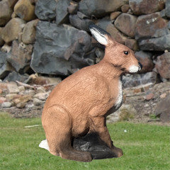 TB-3D Rabbit - Cougar Target