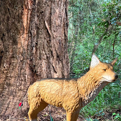TB-3D Dog - Cougar Target